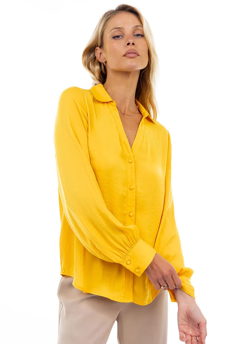 Classic V-Neck Button Down Blouse