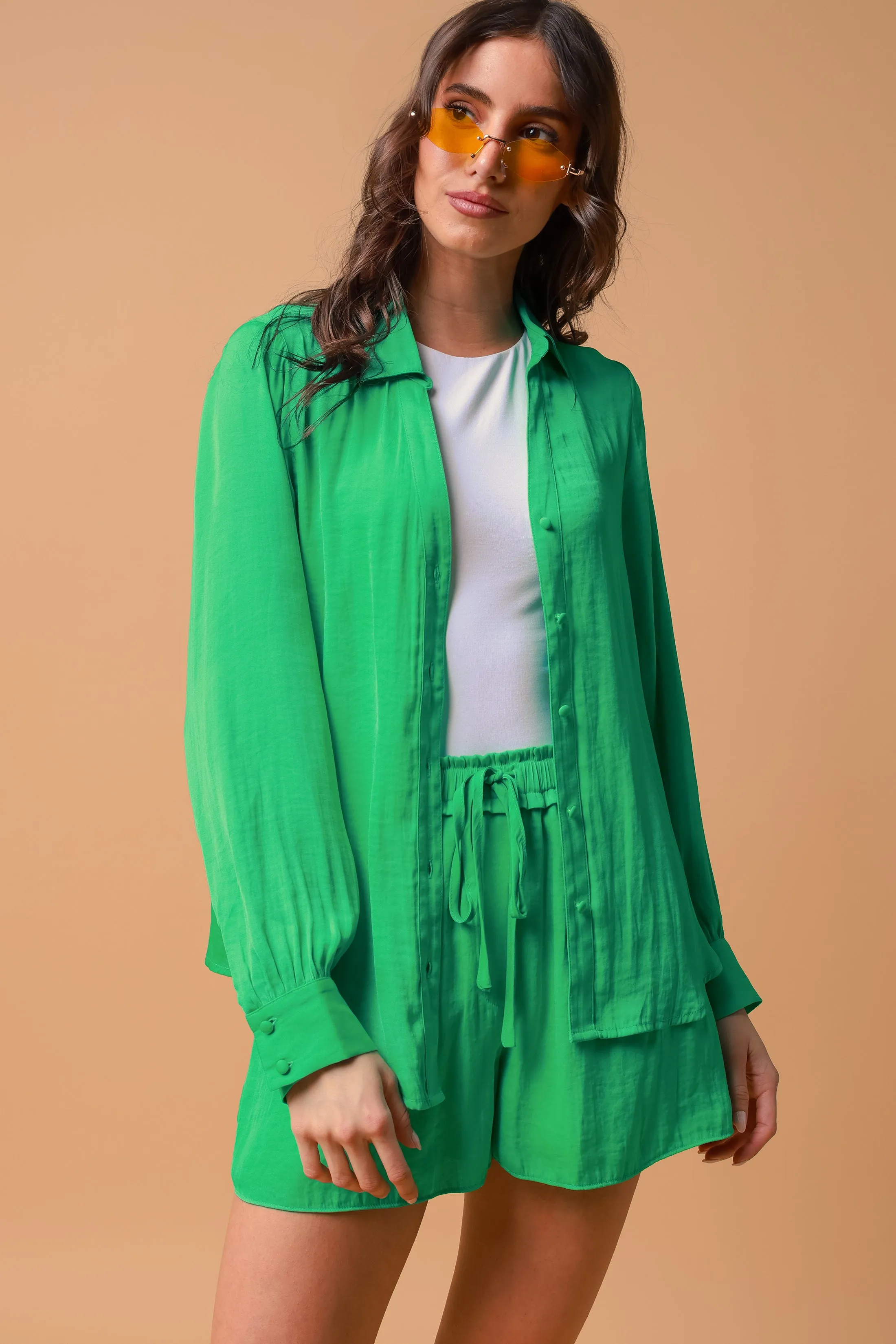 Classic V-Neck Button Down Blouse