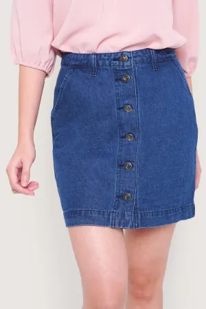 Mini A-Line Skirt
