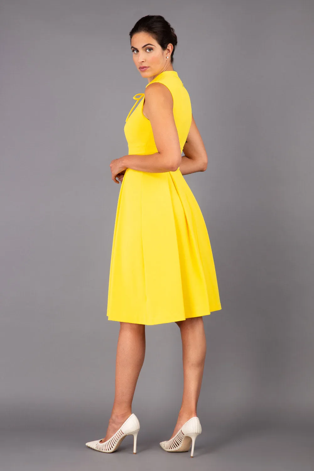 Oceana Swing Dress