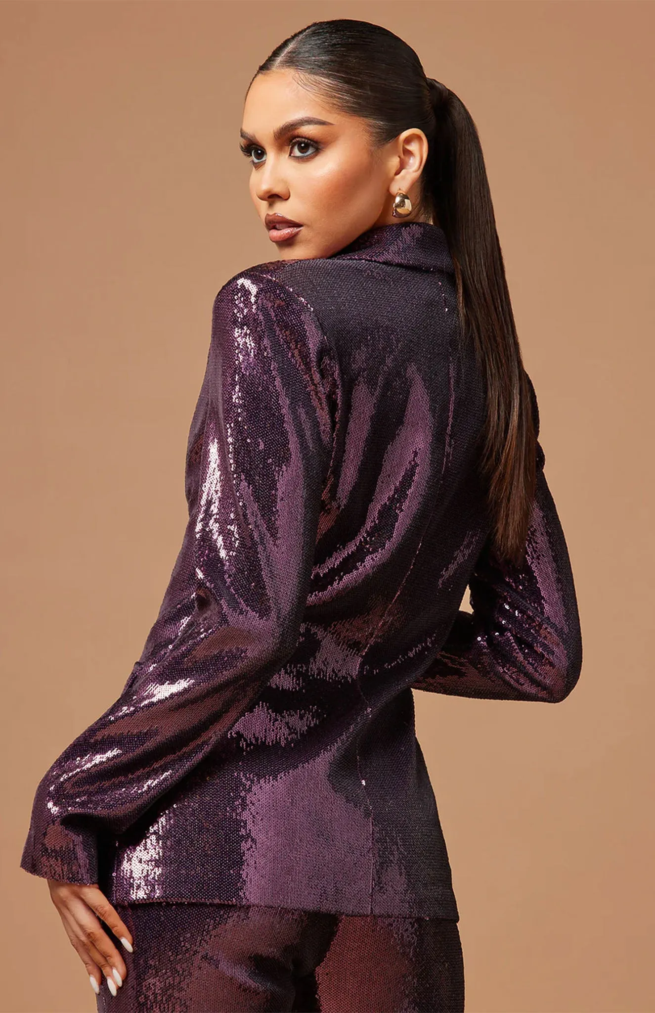 Plum Perfection Power Suit | Wine sequence Blazer Set